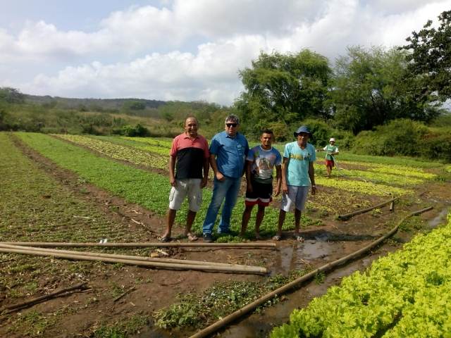 AES-AGRICULTURA-002