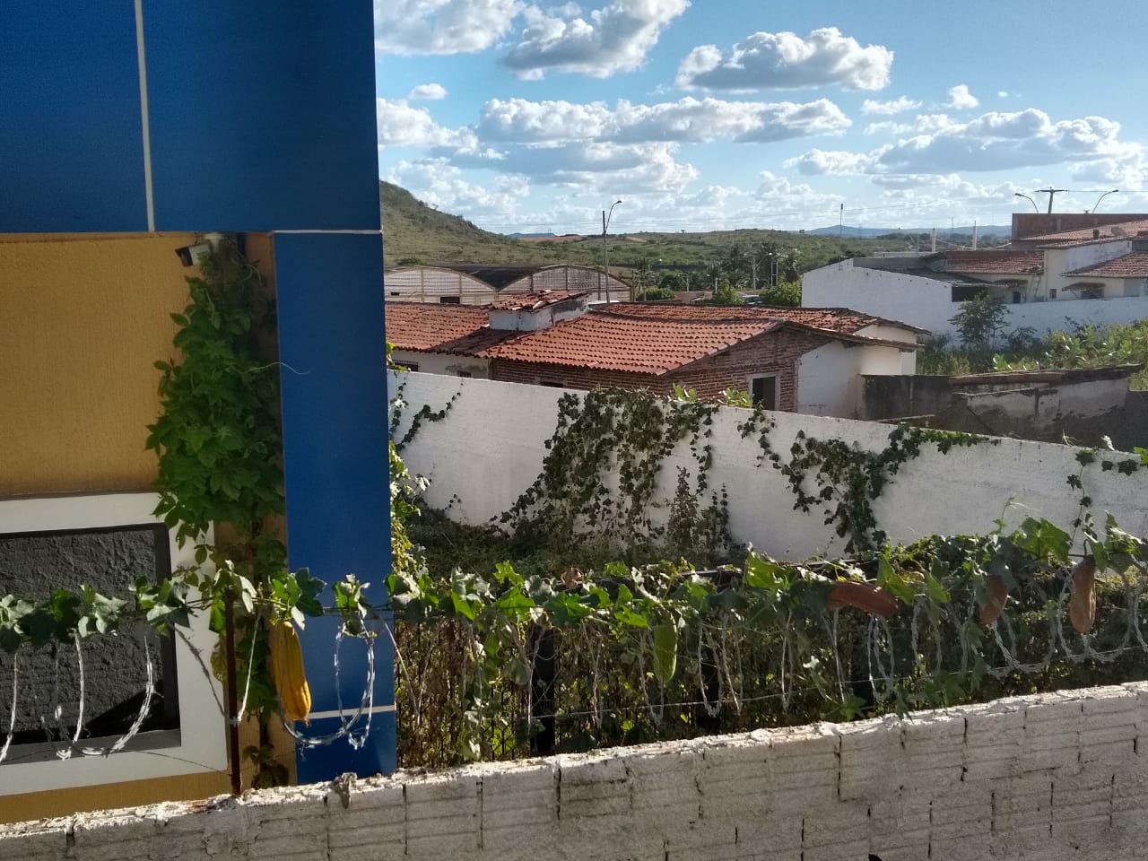 centraldocidadaonovo1