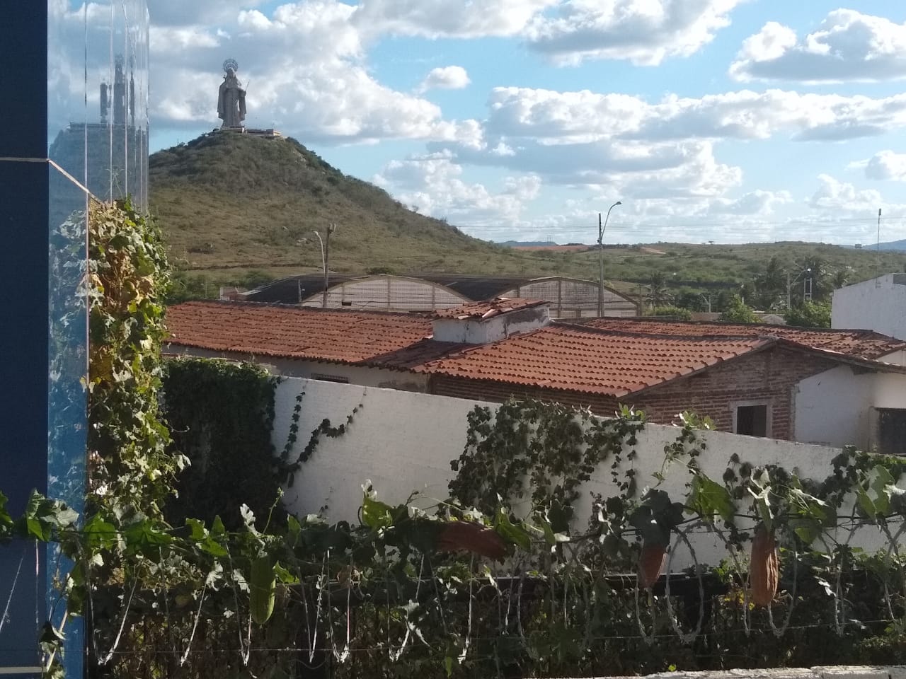 centraldocidadaonovo2