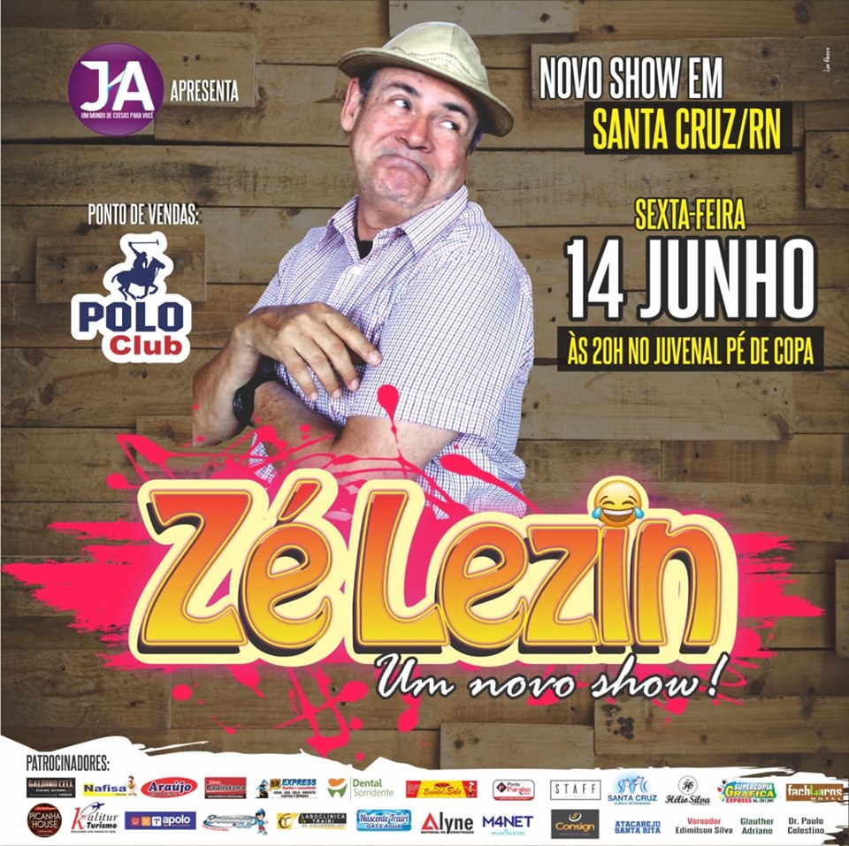 zelezin2019